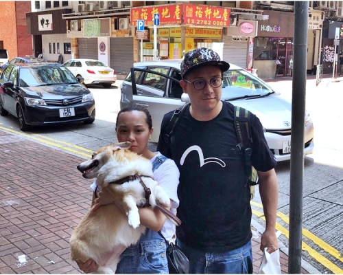 張致恒頭戴cap帽街坊裝、與太太一起帶愛犬睇醫生。