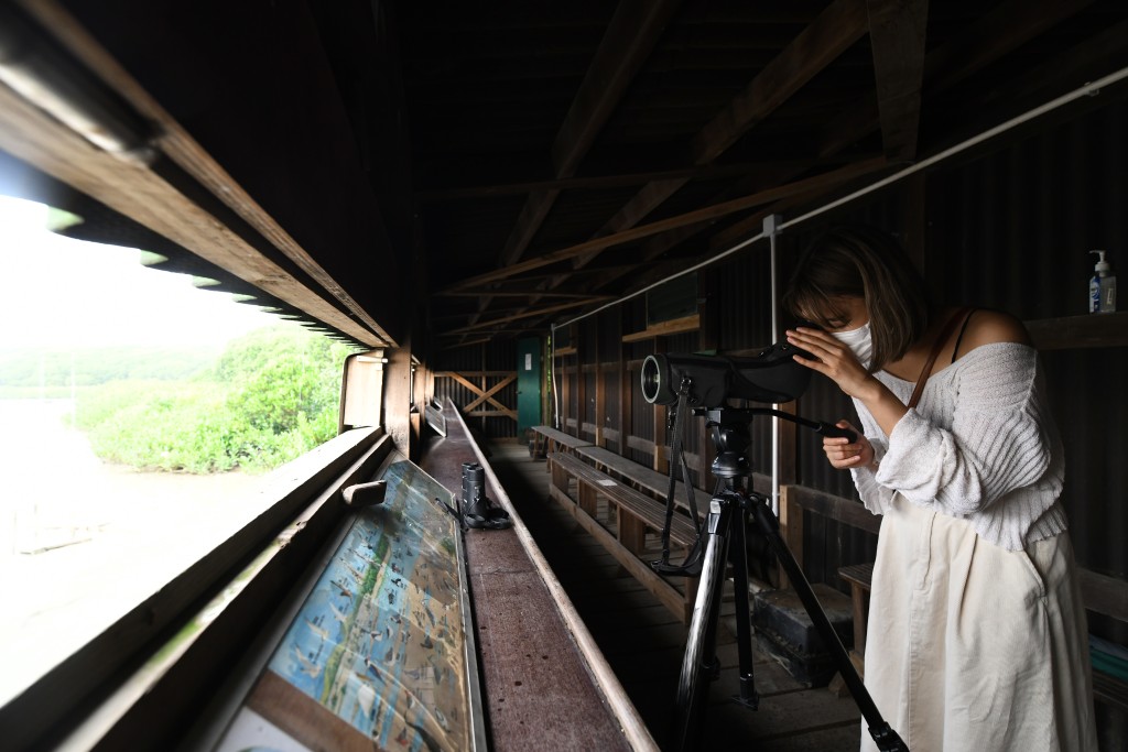 現時市民到訪米埔，須向警務處申請邊境禁區許可證，並向漁護署申請「進入米埔沼澤區許可證」。