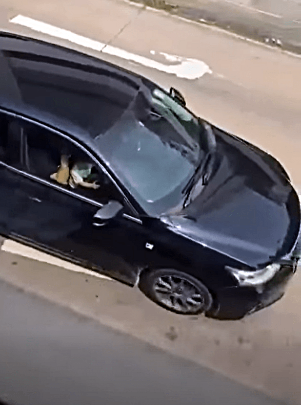 男童雙手握着軚盤。fb：屯門友