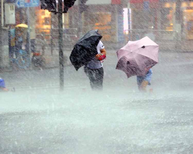 在上海市莘松路市民冒雨行走。新華社