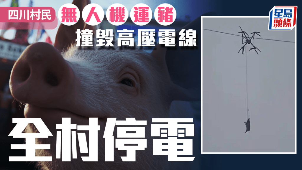 無人機運豬│四川村民「黑飛」連豬帶機毀電線  全村停電10小時