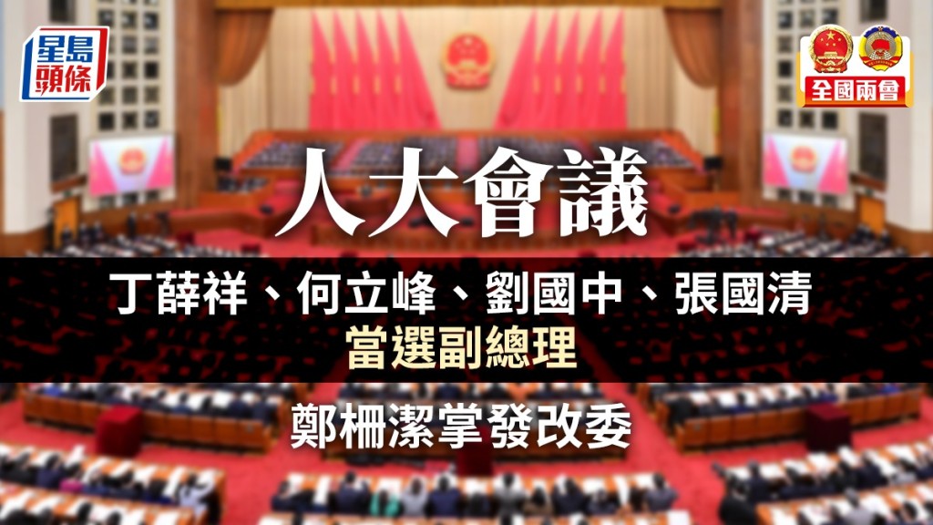 人大會議選出四名副總理。