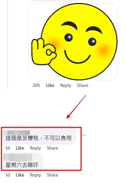 facebook截图（资料来源：Ivy Cao＠facebook将军澳主场）