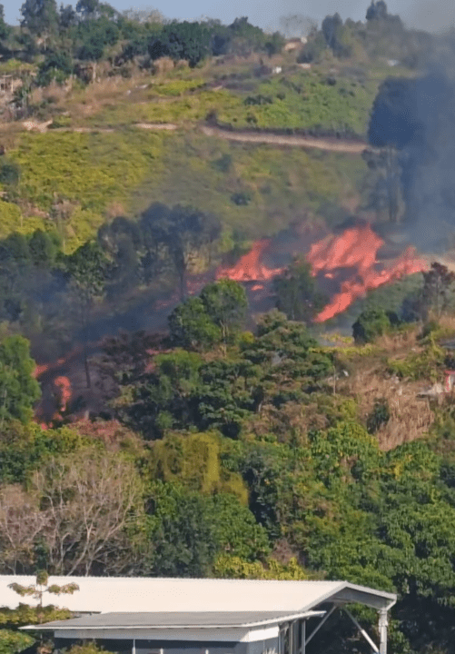 天水圍蝦尾新村對開山頭發生山火。網上片段截圖