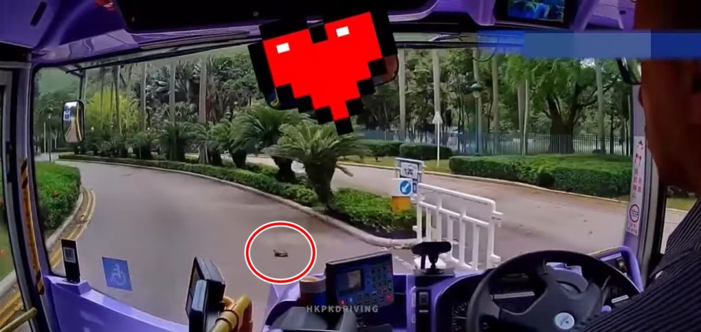 眼利车长见前方有一只龟在路中心爬行。fb小心驾驶（讨论别人同驾驶态度）影片
