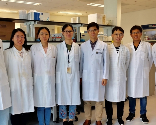 汪衛平博士（右四）和他的研究團隊。港大提供