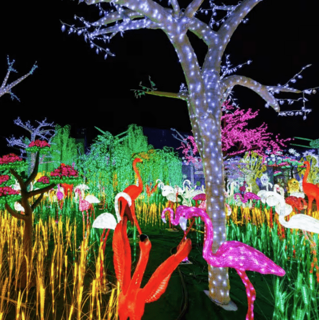 Festilumi光影幻想世界。Fever圖片 Festilumi光影幻想世界。Fever圖片