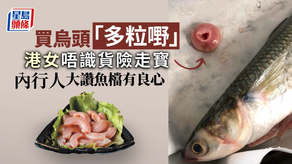 有網民買烏頭送粉紅顆粒，得知原來是寶。fb香港街市魚類海鮮研究社