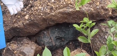 警方在石頭下找回所有贓物。央視新聞