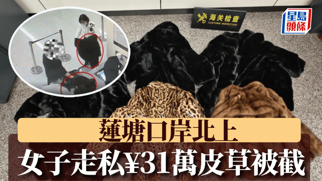 女子走私價值31萬人民幣的皮草大衣被截。