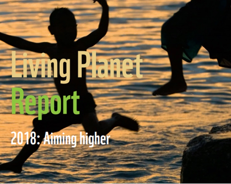 WWF發表《Living Planet》報告,指出44年間全球野生物種銳減6成。WWF官網