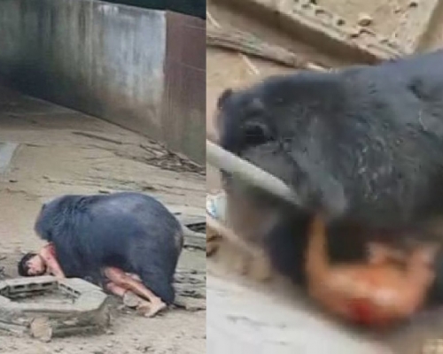 網圖。