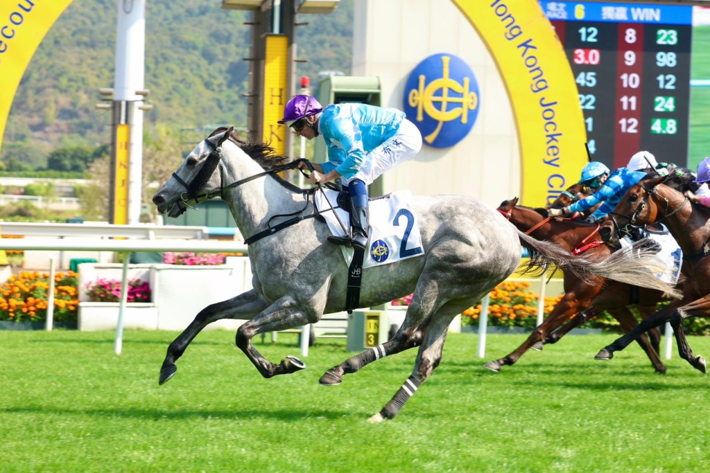 自去年一月初岀即勝後，一直未有再贏的黎廄「怡昌光輝」，今日再於四班賽上陣，找來布文壓陣，終於贏得久違了的頭馬。