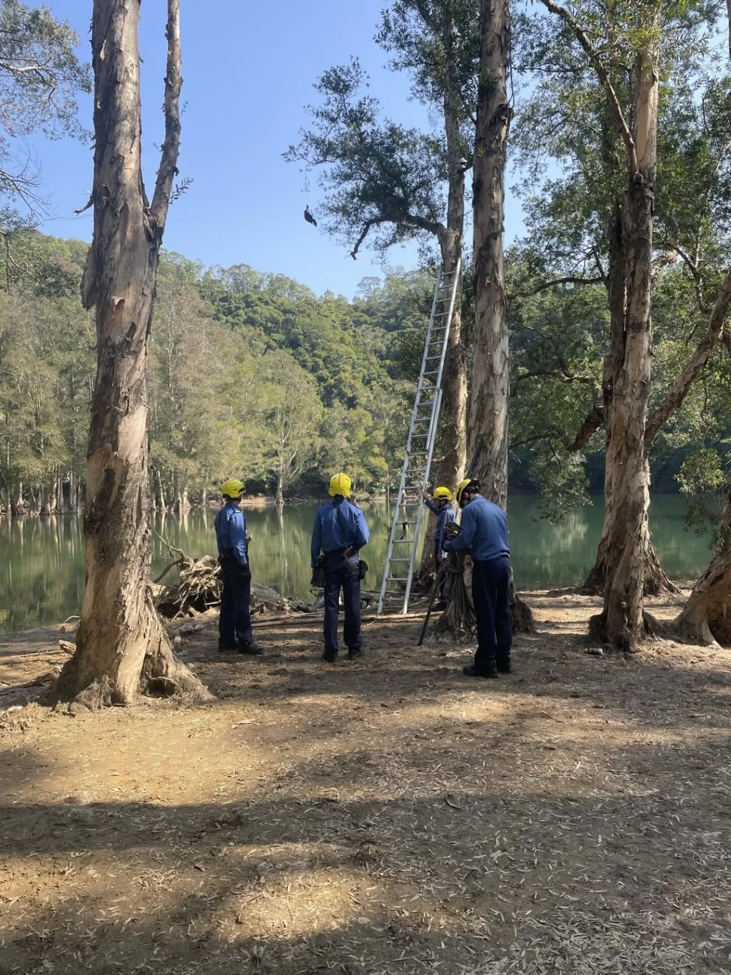 消防「上山落水」救援，獲市民大讚。
