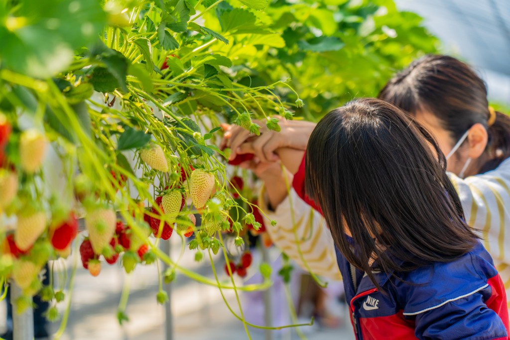 （图片来源：PhotoAC）