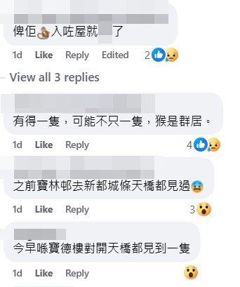 fb「將軍澳主場」截圖 fb「將軍澳主場」截圖