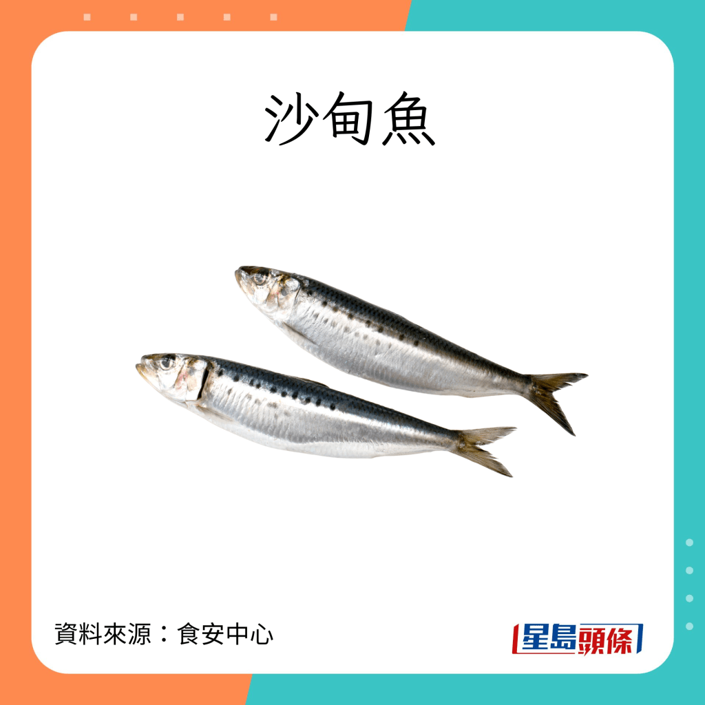水銀含量較低的常見魚類