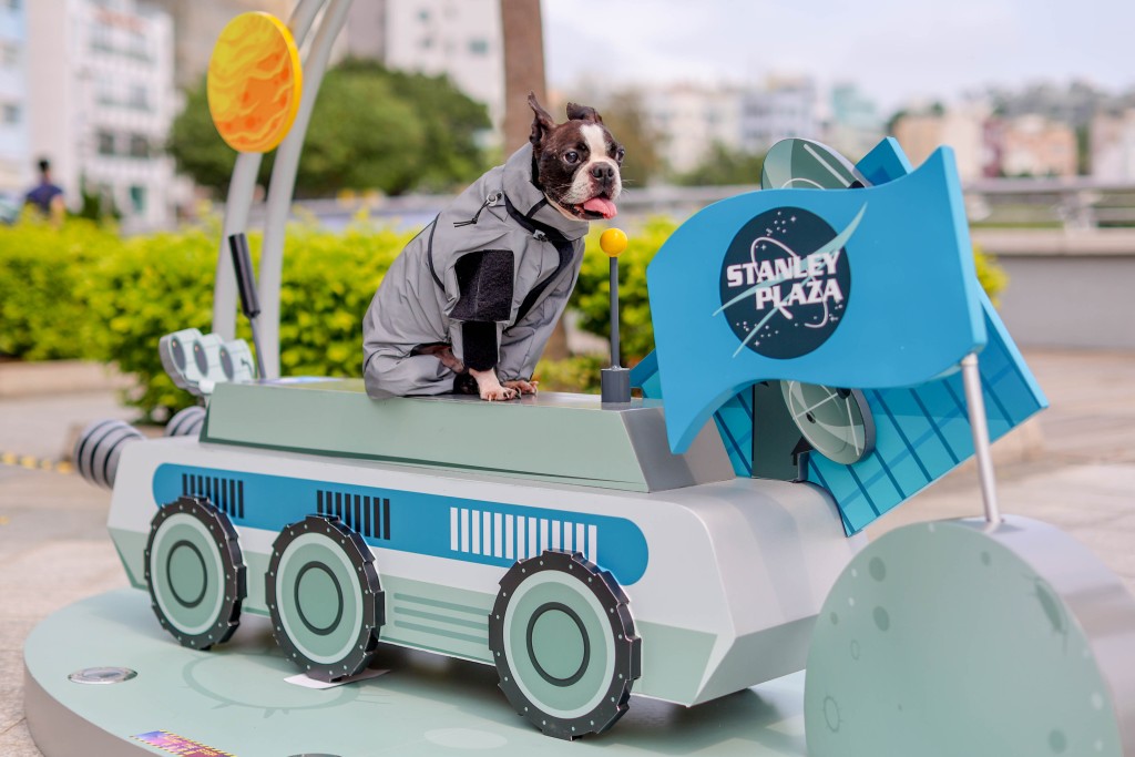 赤柱廣場Paws Galaxy「寵物海濱嘉年華」打造四大戶外「星系」打卡熱點。