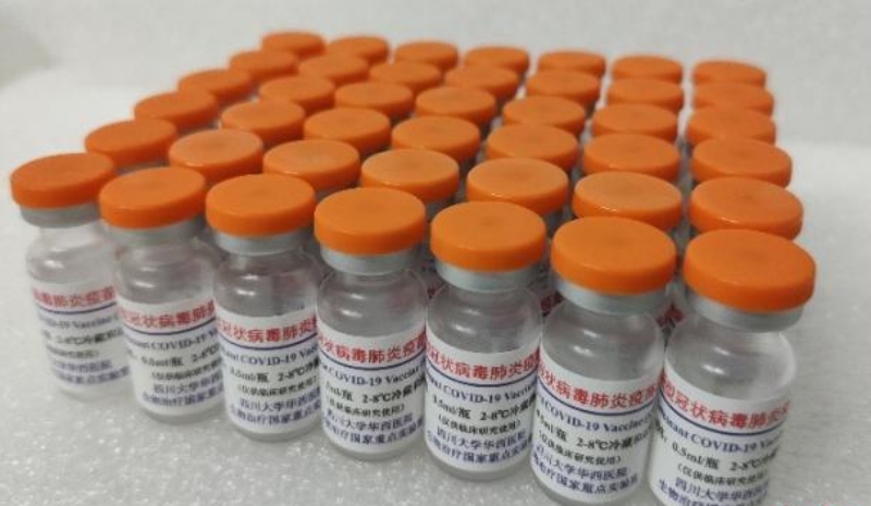 內地研發首個由昆蟲細胞生產的新冠疫苗。網圖