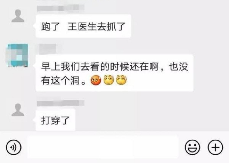 部分微信聊天截图。网上图片
