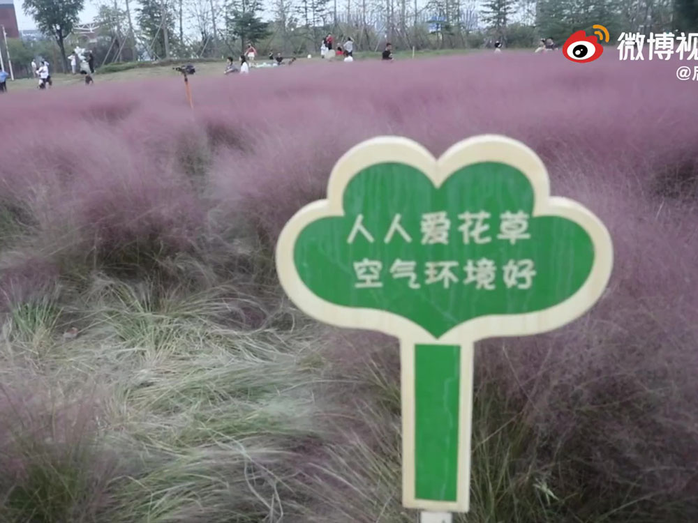 游园的提示牌完全起不了任何作用。