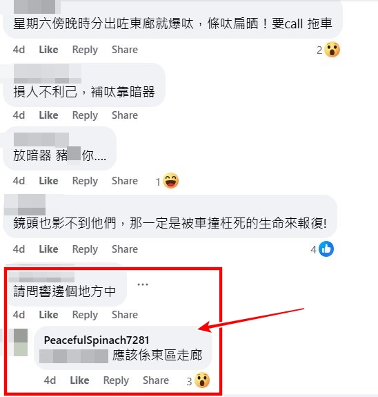 facebook截圖（資料來源：PeacefulSpinach7281＠facebook車cam L（香港群組））