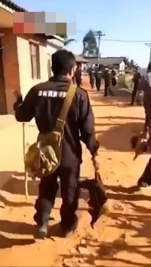 有網民指,雲南普洱瀾滄縣為了迎合上級檢查,打死居民放養的家禽。網圖