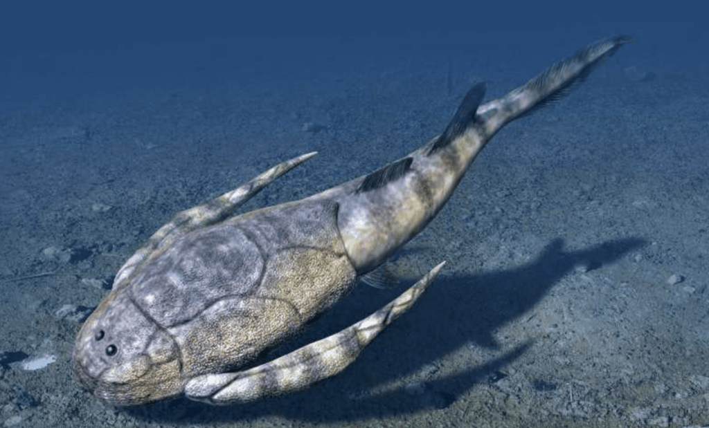 目前最古老的有颌类动物为盾皮鱼。
