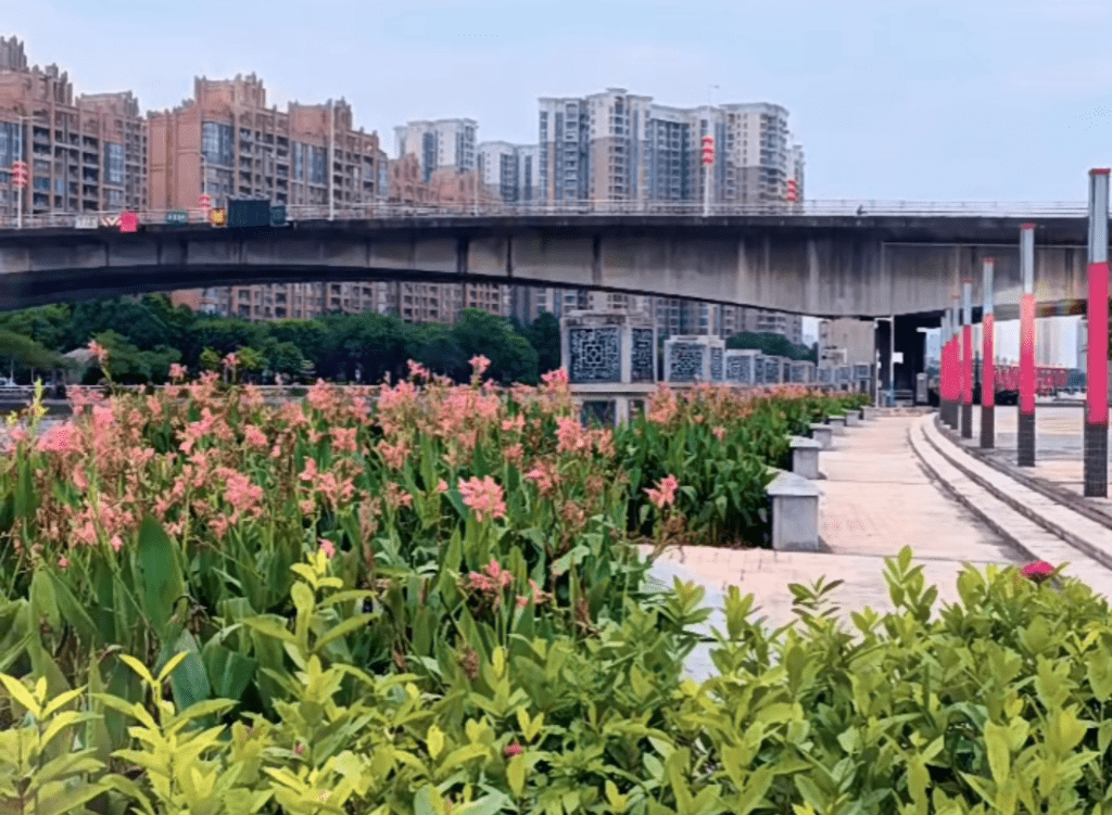 中山端午节好去处2024｜3. 龙舟文化公园 公园位于岐江河边，风景优美。（图片来源：小红书＠简简单单）