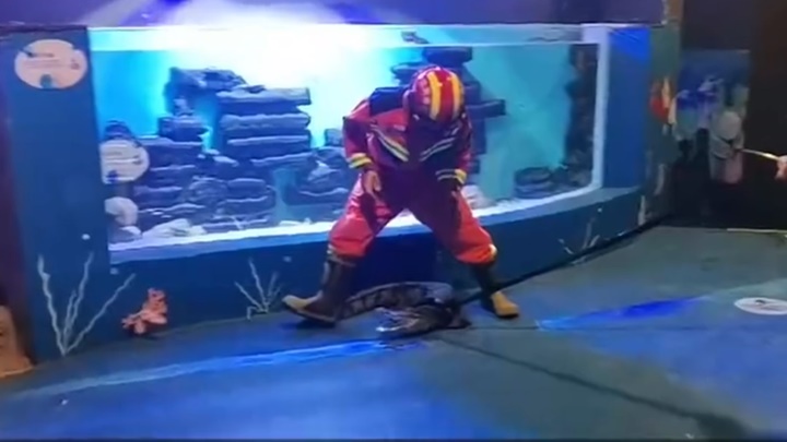消防員花費40分鐘與鱷魚「搏鬥」。網上影片截圖