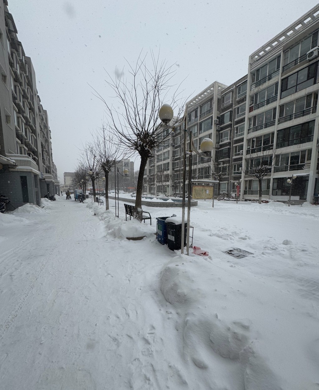 網民分享遼寧各地街頭的雪景。微博 網民分享遼寧各地街頭的雪景。微博