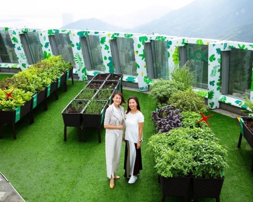 太古坊與星展夥社企建城市農圃。