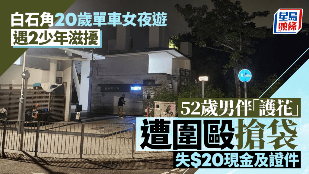 大埔單車女夜遊遇2青年滋擾 男伴挺身「護花」遭圍毆搶袋 失證件現金