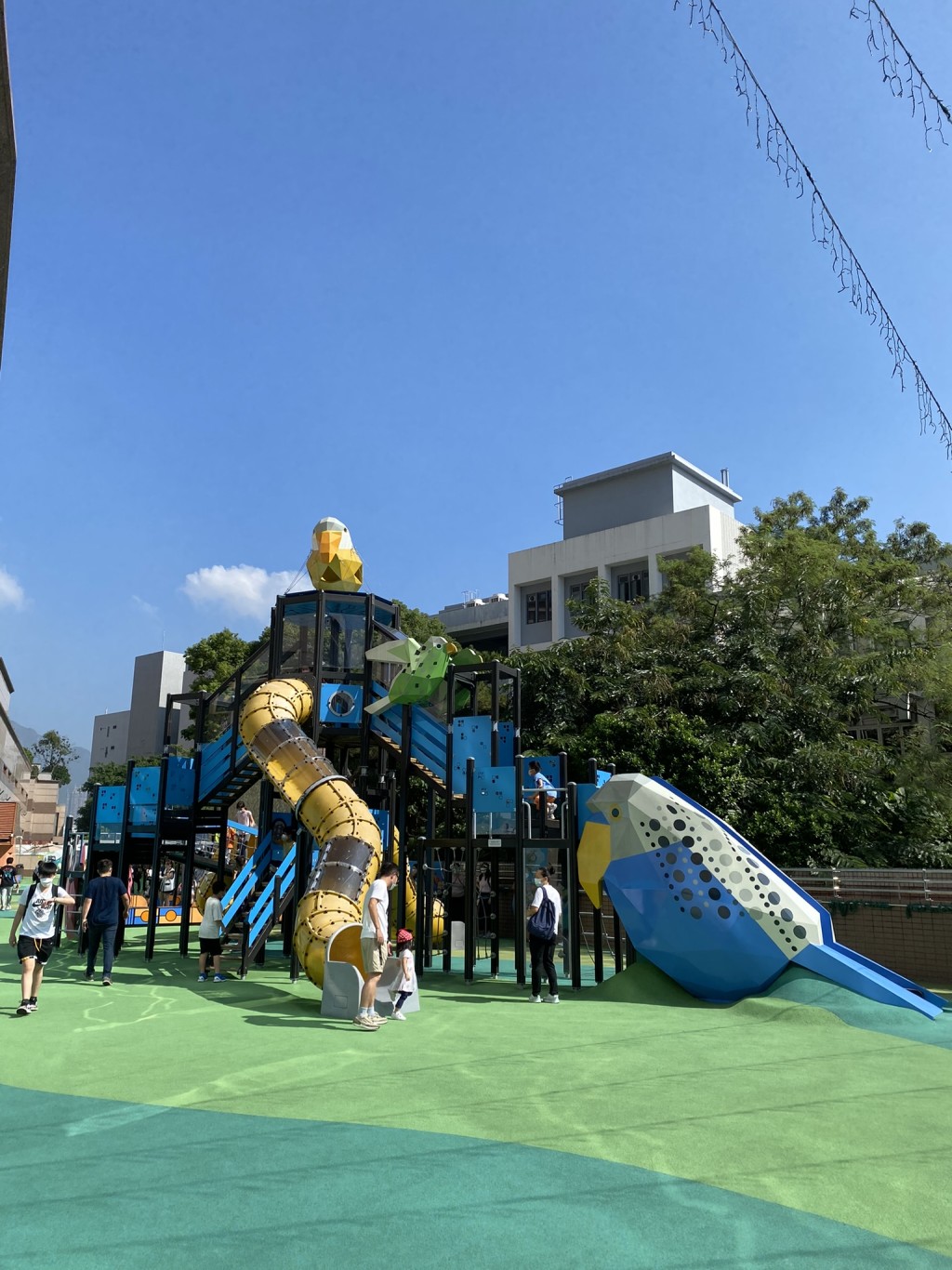 （圖片來源：《親子王》）