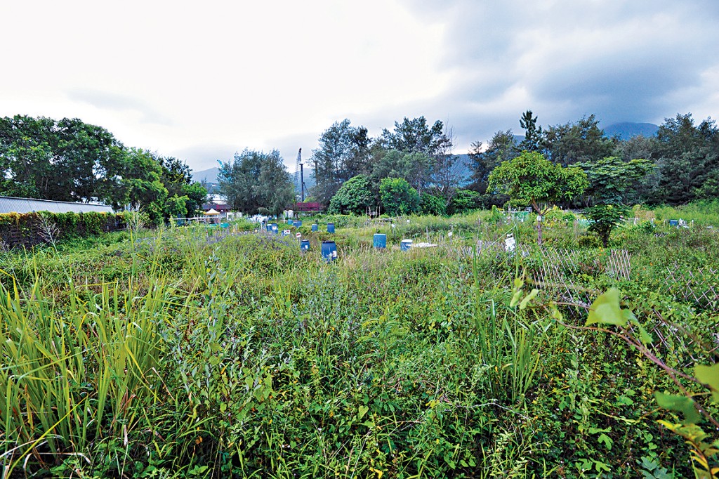 財團持有的西貢沙下一幅「鄉村式發展」用地申請興建147伙,城規會今日重新審議。 財團持有的西貢沙下一幅「鄉村式發展」用地申請興建147伙,城規會今日重新審議。