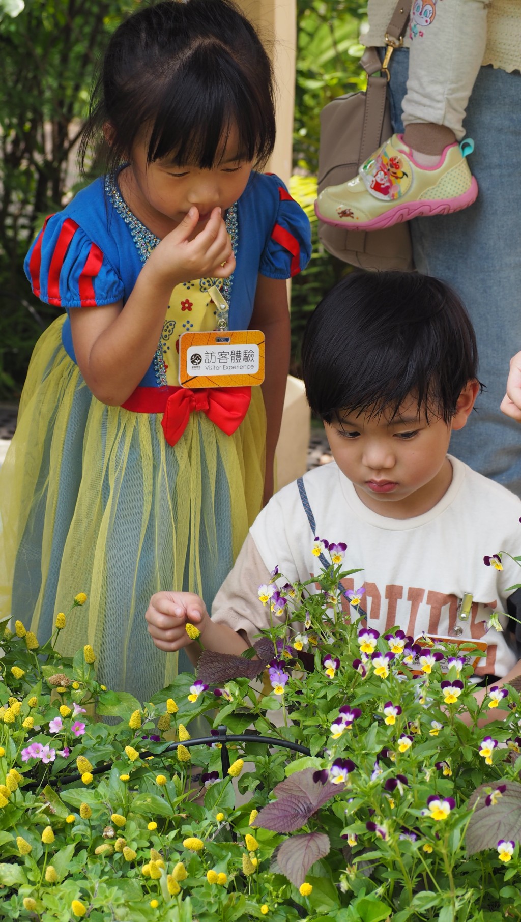 （圖片來源：綠匯學苑 ）