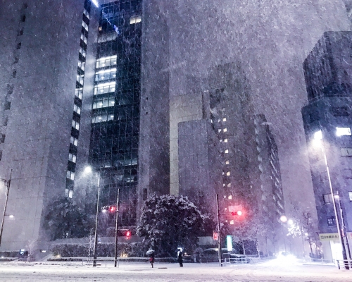 東京出現大風雪。網上圖片