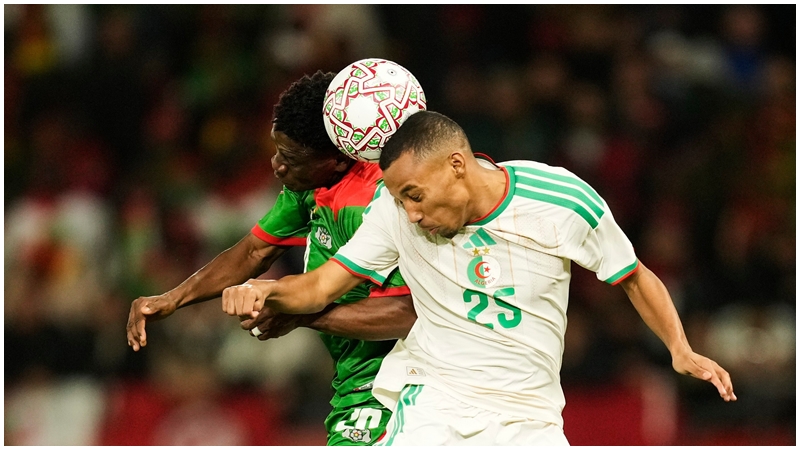 阿尔及利亚国脚贝加利已回归维罗纳大军。AP