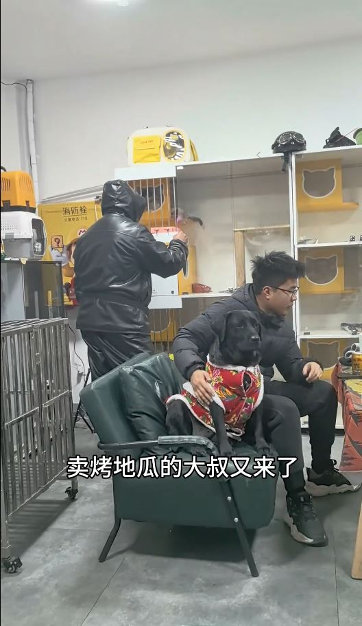 大叔用賣剩的烤番薯向寵物店換來短暫的逗貓時光。抖音@無敵奶爸