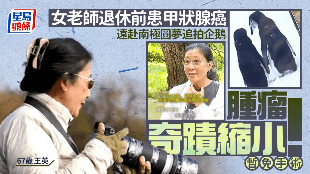 女老師退休前患甲狀腺癌 遠赴南極圓夢追拍企鵝 腫瘤奇蹟縮小｜附初期症狀/成因