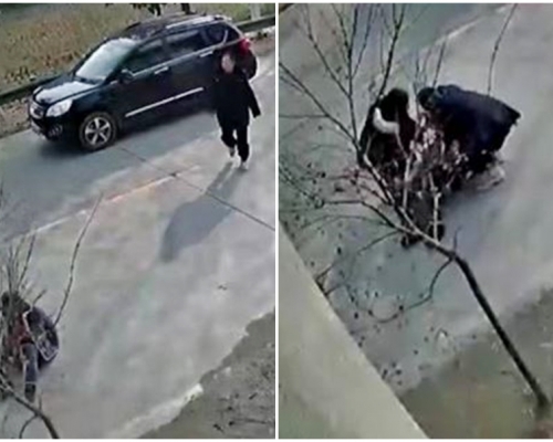 江西九江一名老人倒地不起，有熱心女司機將對方扶起來，怎料對方家屬將她告上法院。網圖