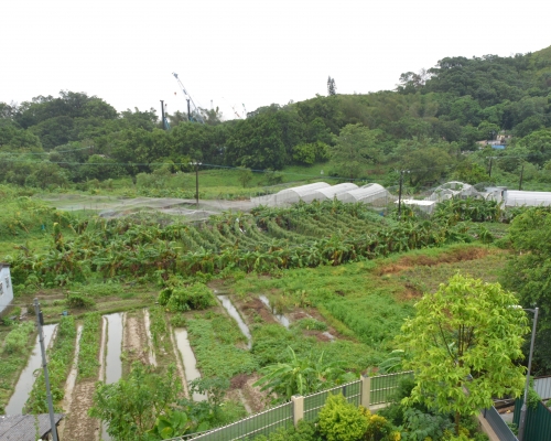環團批評倡公私合作建屋是官商勾結。資料圖片