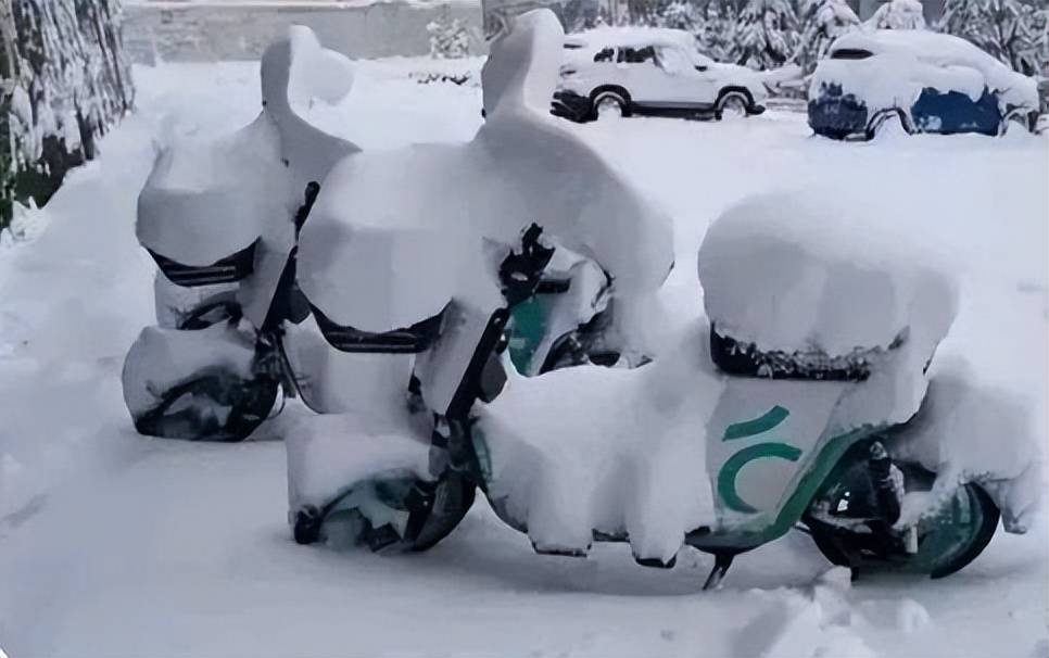 電單車及私家車都披上一層白雪。