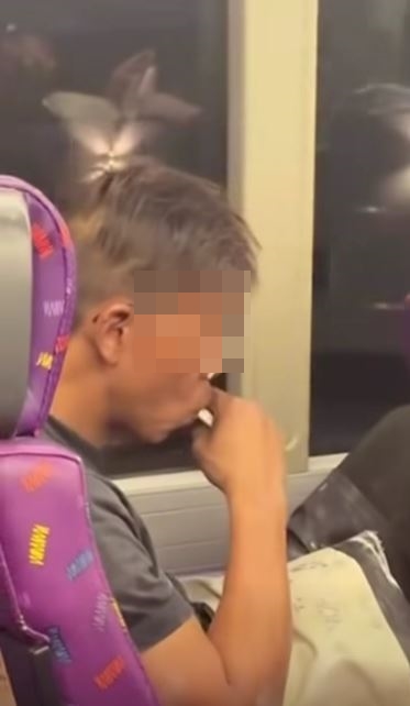 巴士男拿起一支白色的電子煙，放到口邊深深吸啜。fb「車cam L（香港群組）」影片截圖