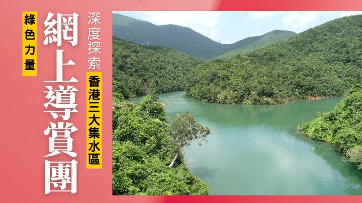 綠色力量將在5月及6月開辦合共六場的免費網上導賞團，向大家介紹本港三大集水區的自然生態。