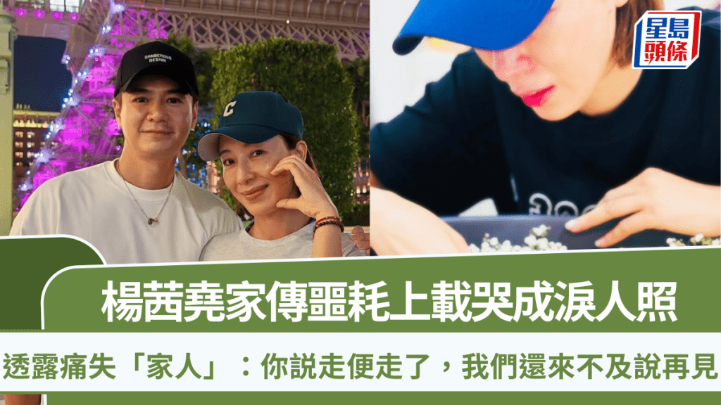 楊茜堯家傳噩耗！上載哭成淚人照透露痛失「家人」：你説走便走了，我們還來不及說再見