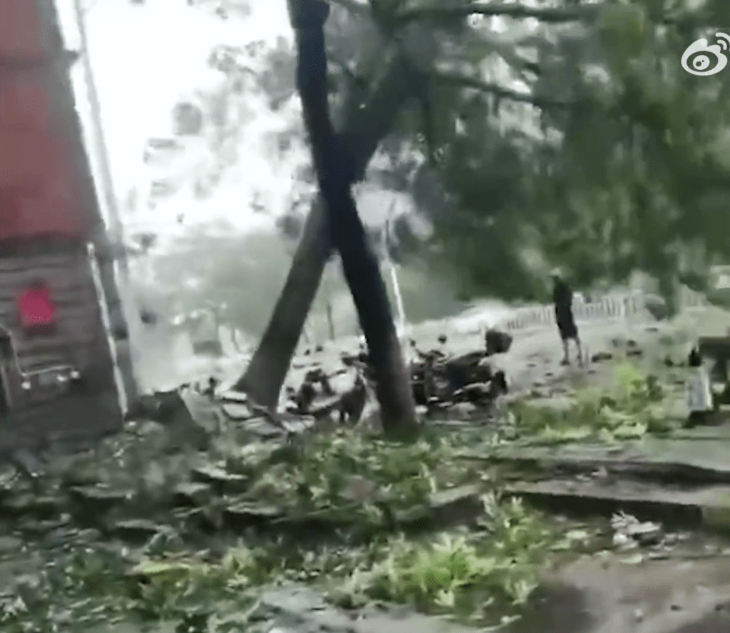 男子附近的一棵大樹被颱風刮倒。  ​