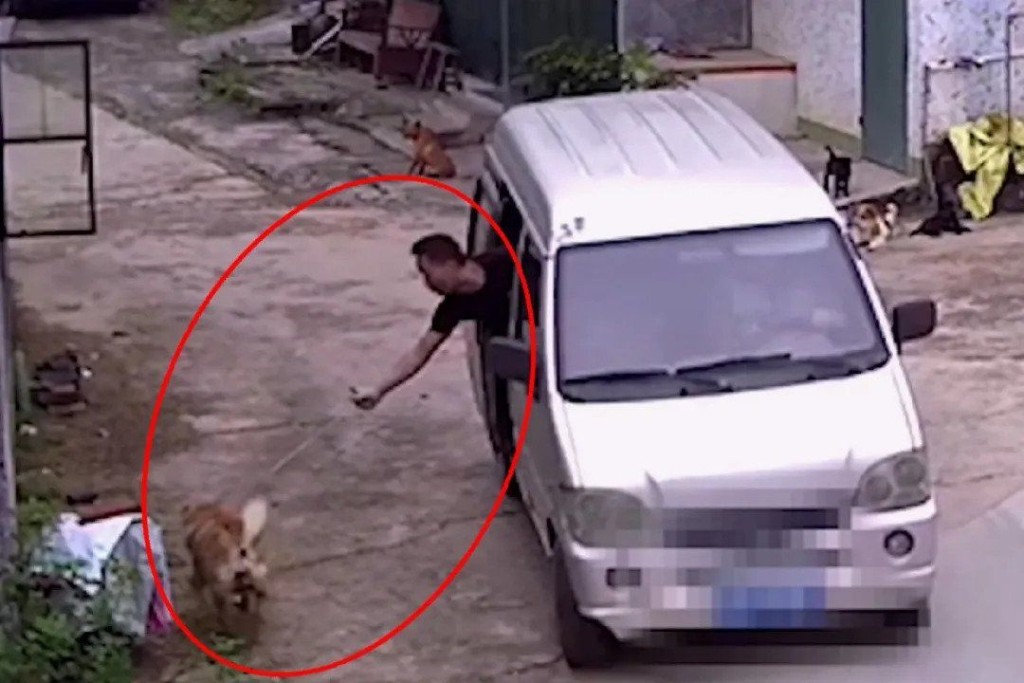 疑犯快速地將放養在戶外的狗隻拉上車。網圖