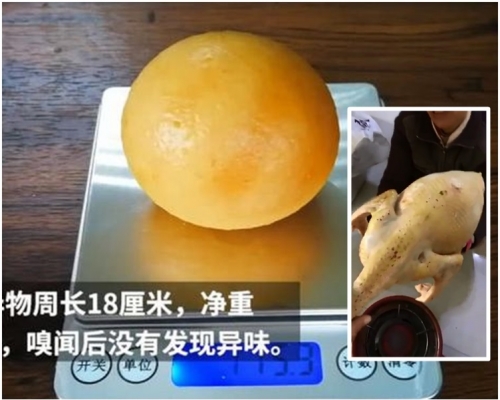宰殺母雞後於肚子裡面發現了一個蛋狀異物。
