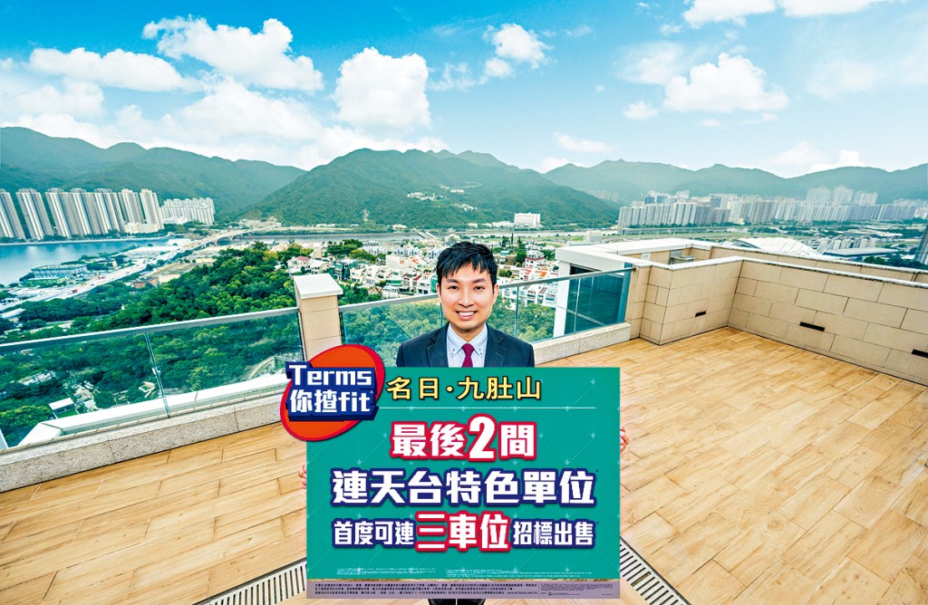 長實詹勳榮表示,是次為首度推出單位可連車位招標發售,當中包括項目最後2伙連天台特色戶。